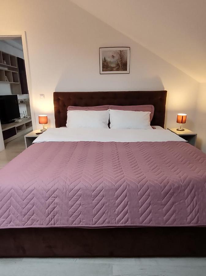 Simona Apartament Palas Mall Iasi Ngoại thất bức ảnh