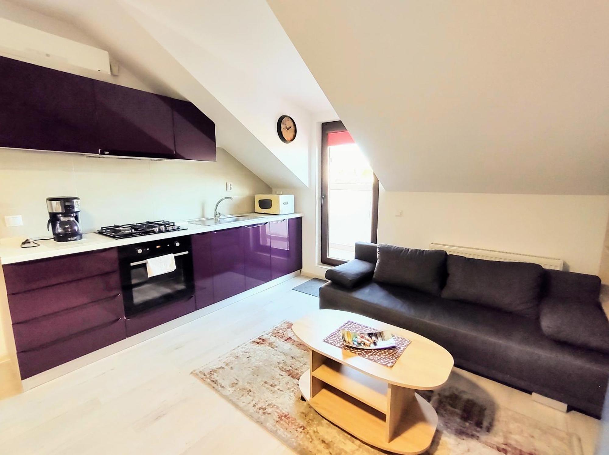Simona Apartament Palas Mall Iasi Ngoại thất bức ảnh
