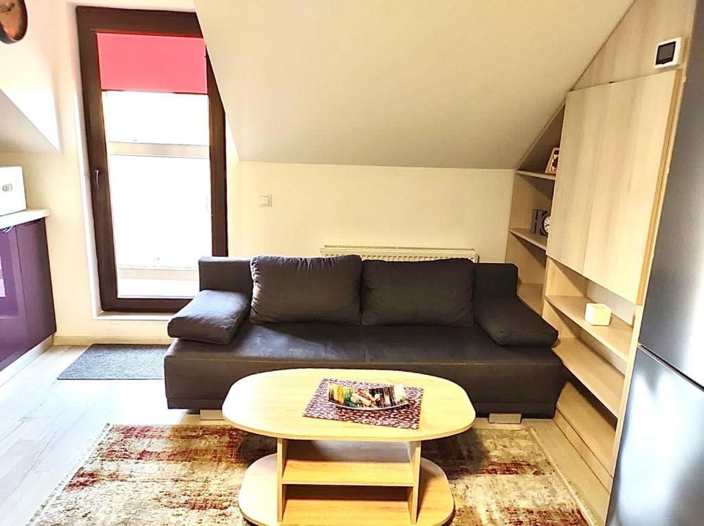 Simona Apartament Palas Mall Iasi Ngoại thất bức ảnh
